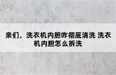 亲们，洗衣机内胆咋彻底清洗 洗衣机内胆怎么拆洗